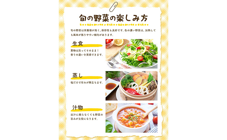 野菜 旬の野菜セット Lサイズ 約10～11種 《30日以内に出荷予定(土日祝除く)》 ベジLIFE!!季節の野菜  料理 甘い 採れたて トマト 新玉ねぎ じゃがいも キャベツ 白菜 ベジライフ 千葉県 我孫子市 【配送不可地域あり】（沖縄・離島） 