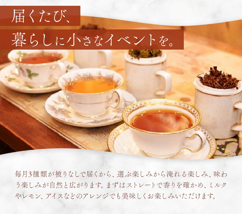 紅茶ティーバッグ 定期便 12ヶ月 10個×3種類/毎月 計360個（36種類） セイロン紅茶専門店 MISTYWICK有限会社《お申込み翌月から出荷》千葉県 我孫子市 紅茶 ティーバッグ 毎月3種類の紅茶が楽しめる フレーバーティー ダージリン アールグレイ 厳選 ギフト 贈り物