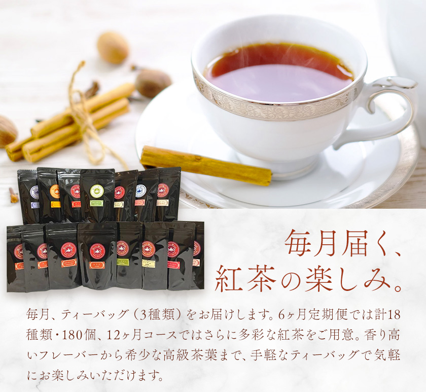 紅茶ティーバッグ 定期便 12ヶ月 10個×3種類/毎月 計360個（36種類） セイロン紅茶専門店 MISTYWICK有限会社《お申込み翌月から出荷》千葉県 我孫子市 紅茶 ティーバッグ 毎月3種類の紅茶が楽しめる フレーバーティー ダージリン アールグレイ 厳選 ギフト 贈り物