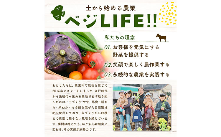 野菜 旬の野菜セット Lサイズ 約10～11種 《30日以内に出荷予定(土日祝除く)》 ベジLIFE!!季節の野菜  料理 甘い 採れたて トマト 新玉ねぎ じゃがいも キャベツ 白菜 ベジライフ 千葉県 我孫子市 【配送不可地域あり】（沖縄・離島） 