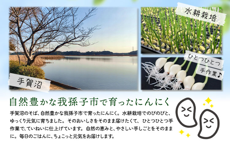 繧縺阪↓繧薙↓縺 5陲 譬ェ蠑丈シ夂、セANELA GROW 縲30譌・莉・蜀縺ォ蜃コ闕キ莠亥ョ(蝨滓律逾晞勁縺)縲句鴻闡臥恁 謌大ュォ蟄仙ク 縺ォ繧薙↓縺 豌エ閠墓ス蝓ケ 繧ョ繝輔ヨ 騾∵侭辟。譁