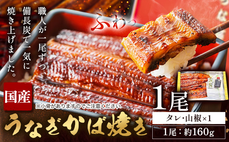 鰻 国産 うなぎ かば焼き 1尾 約 160g うな藤《30日以内に出荷予定(土日祝除く)》千葉県 我孫子市  丑の日 炭火 鰻 ウナギ ギフト 真空パック タレ 山椒 冷凍 贈り物 プレゼント お祝い お取り寄せ ギフト