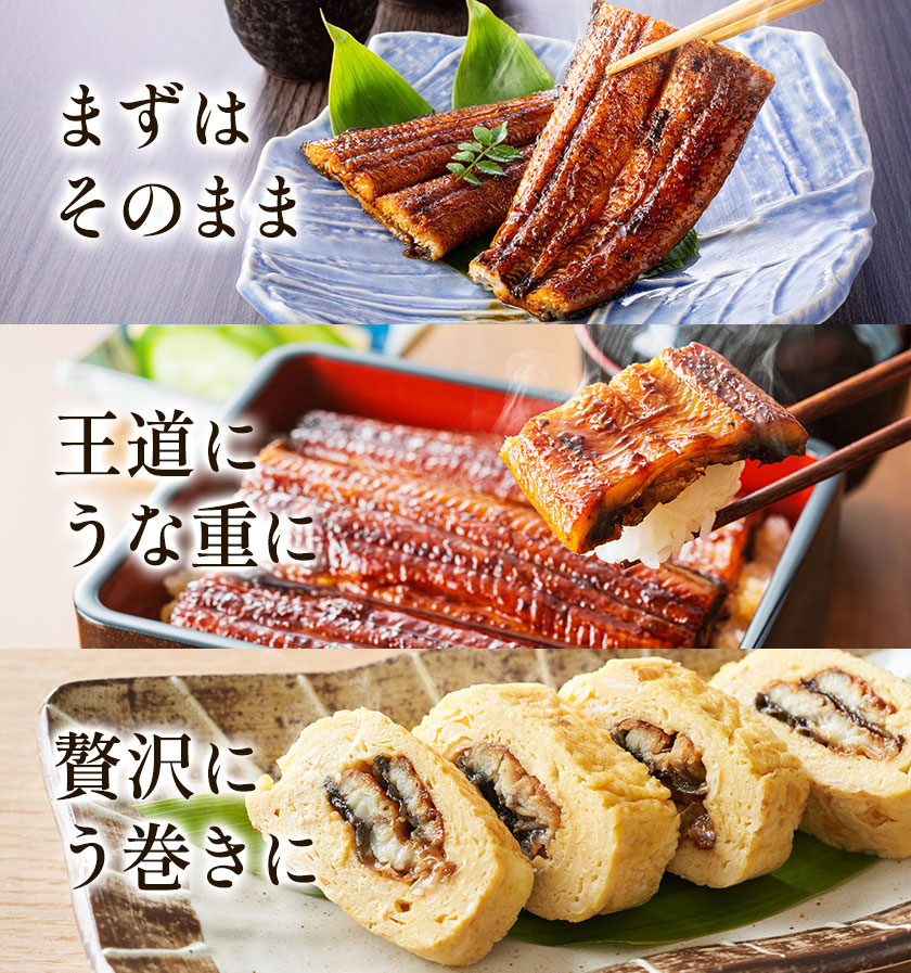 【4パック分け】鰻 国産 うなぎ かば焼き 2尾 小分け 約 320g うな藤《30日以内に出荷予定(土日祝除く)》千葉県 我孫子市  丑の日 炭火 鰻 ウナギ ギフト 真空パック タレ 山椒 冷凍 贈り物 プレゼント お祝い お取り寄せ ギフト