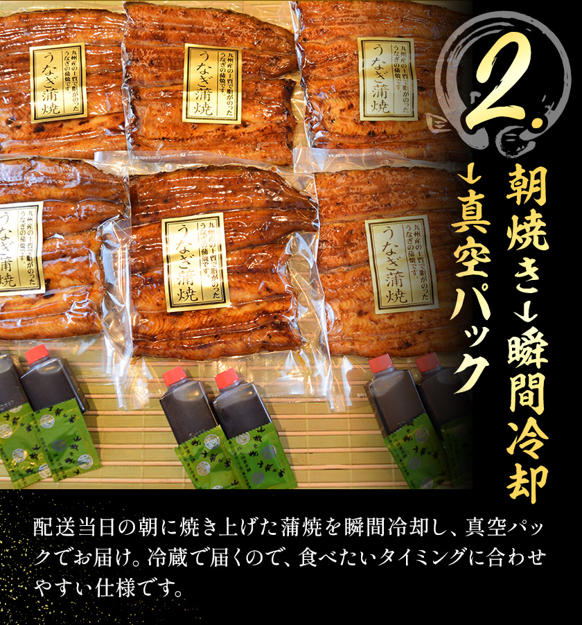 ã3ã¶æå®æäŸ¿ãé°» åœç£é°»è²çŒ 2ããã¯ çŽ 120g Ã2 æéäŒç€Ÿå®äºå®¶ããç³èŸŒã¿ç¿æããåºè·ãåèç æå«ååž é°» ããªã è²çŒ äžã®æ¥ è²çŒã å·èµ ã¿ã¬ å±±æ€ãé
éäžå¯å°åããã(é¢å³¶)