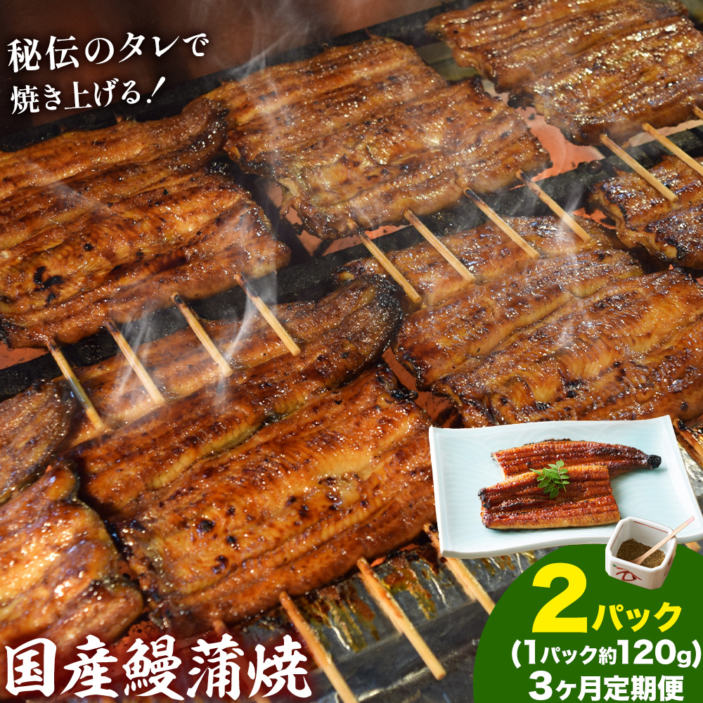 【3ヶ月定期便】鰻 国産鰻蒲焼 2パック 約 120g ×2 有限会社安井家《お申込み翌月から出荷》千葉県 我孫子市  鰻 うなぎ 蒲焼 丑の日 蒲焼き 冷蔵 タレ 山椒【配送不可地域あり】(離島)
