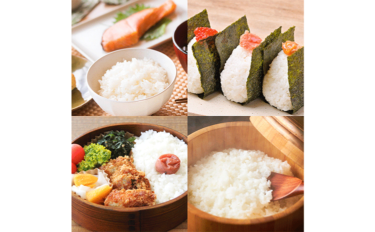 令和7年産 特別栽培米 白米 コシヒカリ 10kg(5kg×2) 米の半左エ門《30日以内に出荷予定(土日祝除く)》千葉県 我孫子市 こしひかり 精米 米 白米 ごはん お米 ライス ブランド米 ご飯 和食 お弁当 おにぎり 国産 コメ おかず