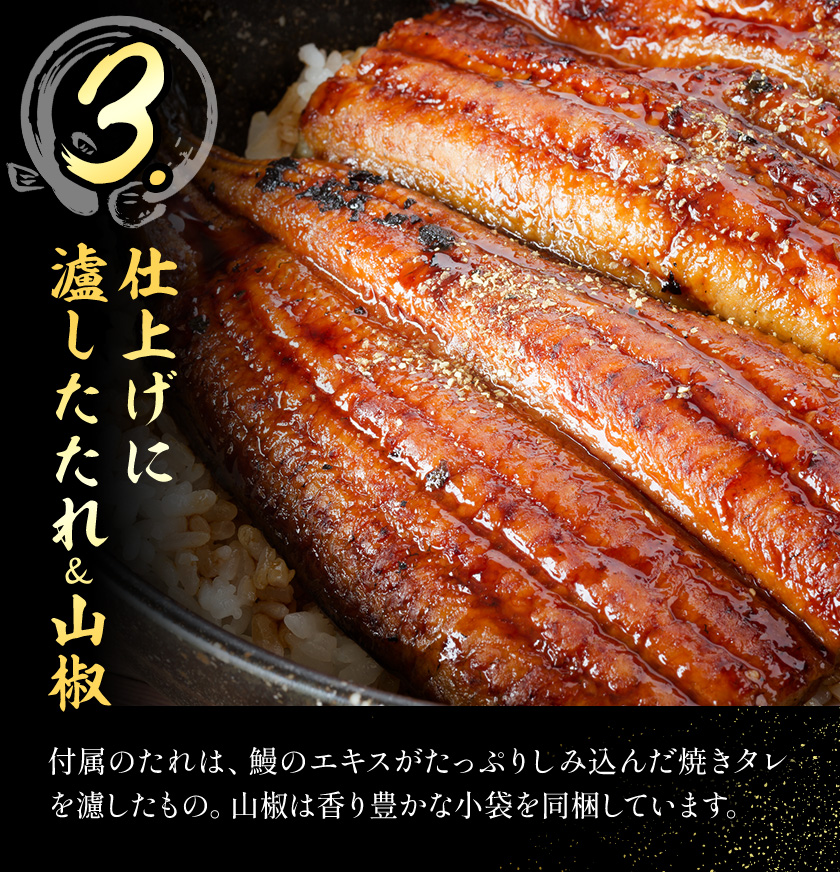 鰻 国産鰻蒲焼 2パック 約 120g ×2 有限会社安井家《30日以内に出荷予定(土日祝除く)》千葉県 我孫子市  鰻 うなぎ 蒲焼 丑の日 蒲焼き 冷蔵 タレ 山椒【配送不可地域あり】(離島)
