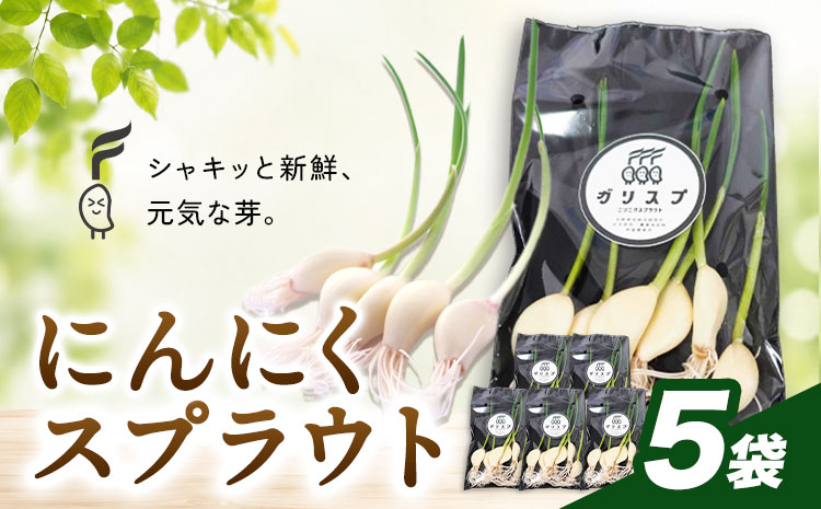 にんにくスプラウト 5袋 株式会社ANELA GROW [30日以内に出荷予定(土日祝除く)]千葉県 我孫子市 にんにく 水耕栽培 ギフト 送料無料