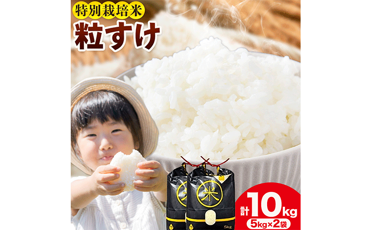 令和7年産 特別栽培米 白米 粒すけ 10kg(5kg×2) 米の半左エ門《30日以内に出荷予定(土日祝除く)》千葉県 我孫子市 つぶすけ 精米 米 白米 ごはん お米 ライス ブランド米 ご飯 和食 お弁当 おにぎり 国産 コメ おかず