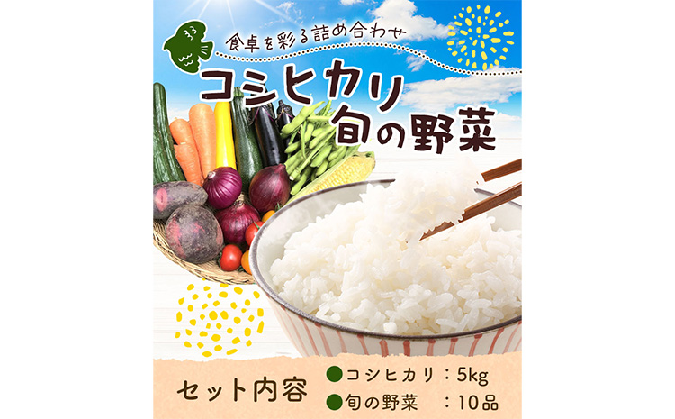 米 野菜 千葉県我孫子市の農家直送! ふっくら甘み自慢の 令和7年産 コシヒカリ 5kg & 旬の野菜 10品 [30日以内に出荷予定(土日祝除く)] ベジLIFE!! 精米 米 白米 ごはん お米 国産 コメ 野菜 トマト キャベツ 白菜 玉ねぎ 千葉県 我孫子市[配送不可地域あり](沖縄・離島)