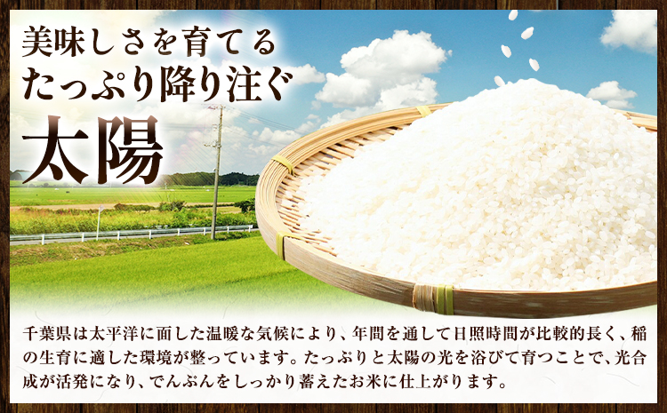 農家応援企画 千葉県産 千葉めぐみ米 10kg《1-5日以内に出荷予定(土日祝除く)》千葉県我孫子市 送料無料 最短翌日発送 米 こめ お米 ごはん 国産 5キロ × 2袋 10キロ