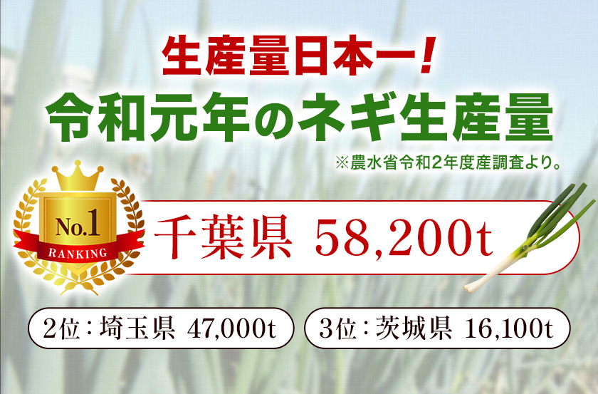 ãã®ã€ããã³ 170g à 5å æ ªåŒäŒç€Ÿé¢šå飿¿ã30æ¥ä»¥å
ã«åºè·äºå®(忥ç¥é€ã)ãåèç æå«ååž ãã® ãã è± çå§ åœç£ ã·ã§ãŠã¬ åèçç£ ããªèŸ ã³ã¯æš ãã¯ã é
ã€ãŸã¿ ããã ãèæç è¬å³ äžèœèª¿å³æ èª¿å³æéžææš© bayfm78 ã³ã©ãèª¿å³æ