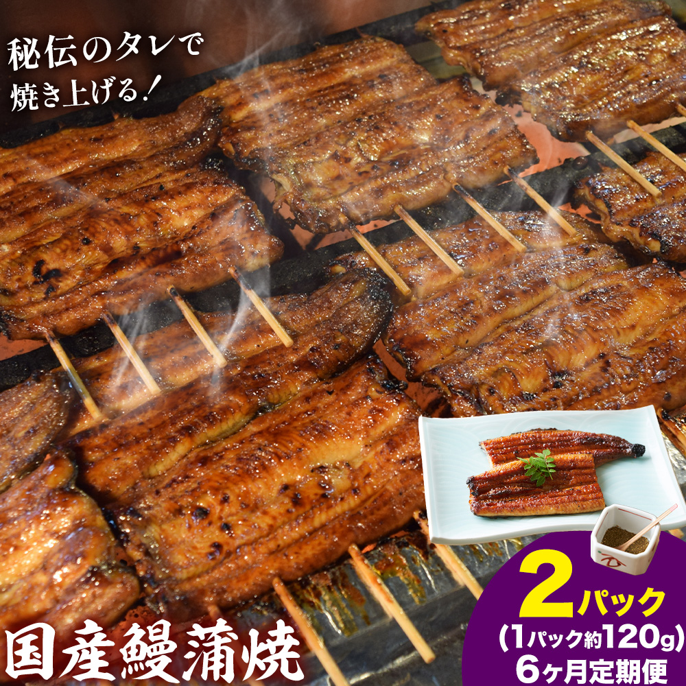 【6ヶ月定期便】鰻 国産鰻蒲焼 2パック 約 120g ×2 有限会社安井家《お申込み翌月から出荷》千葉県 我孫子市  鰻 うなぎ 蒲焼 丑の日 蒲焼き 冷蔵 タレ 山椒【配送不可地域あり】(離島)