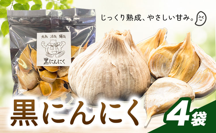 黒にんにく 4袋 株式会社ANELA GROW [30日以内に出荷予定(土日祝除く)]千葉県 我孫子市 にんにく 水耕栽培 ギフト 送料無料