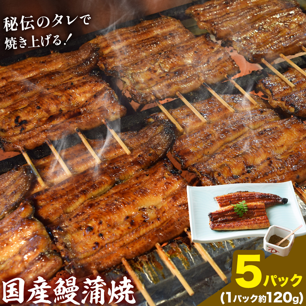 鰻 国産鰻蒲焼 5パック 約 120g ×5 有限会社安井家《30日以内に出荷予定(土日祝除く)》千葉県 我孫子市  鰻 うなぎ 蒲焼 丑の日 蒲焼き 冷蔵 タレ 山椒【配送不可地域あり】(離島)