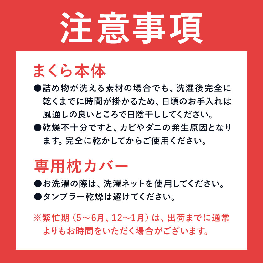 枕 いびきに悩む人向け枕 THE PILLOW Preset 01 Ibiki《60日以内に出荷予定(土日祝除く)》千葉県 我孫子市 送料無料 プリセット型 まくら オーダーメイド枕 いびき 対策 枕 男性 女性 グッズ 仰向け 改善 健康 呼吸 ピロー おすすめ 睡眠
