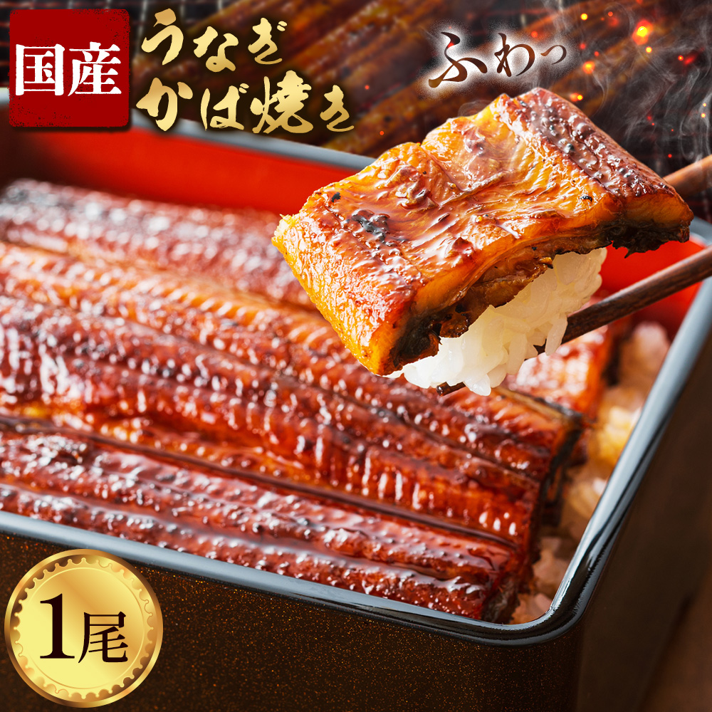 鰻 国産 うなぎ かば焼き 1尾 約 160g うな藤《30日以内に出荷予定(土日祝除く)》千葉県 我孫子市  丑の日 炭火 鰻 ウナギ ギフト 真空パック タレ 山椒 冷凍 贈り物 プレゼント お祝い お取り寄せ ギフト