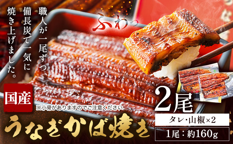 鰻 国産 うなぎ かば焼き 2尾 約 320g うな藤《30日以内に出荷予定(土日祝除く)》千葉県 我孫子市  丑の日 炭火 鰻 ウナギ ギフト 真空パック タレ 山椒 冷凍 贈り物 プレゼント お祝い お取り寄せ ギフト