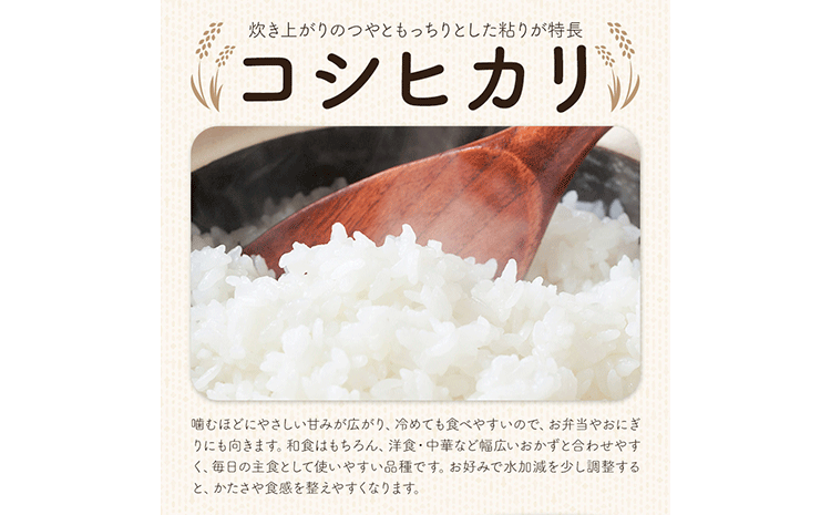 令和7年産 特別栽培米 白米 コシヒカリ 10kg(5kg×2) 米の半左エ門《30日以内に出荷予定(土日祝除く)》千葉県 我孫子市 こしひかり 精米 米 白米 ごはん お米 ライス ブランド米 ご飯 和食 お弁当 おにぎり 国産 コメ おかず