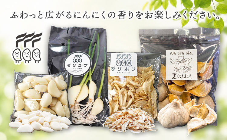 繧縺阪↓繧薙↓縺 5陲 譬ェ蠑丈シ夂、セANELA GROW 縲30譌・莉・蜀縺ォ蜃コ闕キ莠亥ョ(蝨滓律逾晞勁縺)縲句鴻闡臥恁 謌大ュォ蟄仙ク 縺ォ繧薙↓縺 豌エ閠墓ス蝓ケ 繧ョ繝輔ヨ 騾∵侭辟。譁