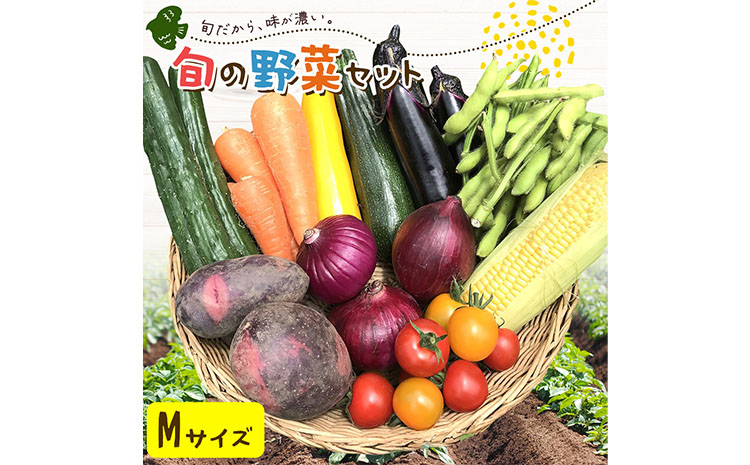 野菜 旬の野菜セット Mサイズ 約8〜9種 [30日以内に出荷予定(土日祝除く)] ベジLIFE!! 季節の野菜 料理 甘い 採れたて トマト 新玉ねぎ じゃがいも キャベツ 白菜 ベジライフ 千葉県 我孫子市[配送不可地域あり](沖縄・離島)