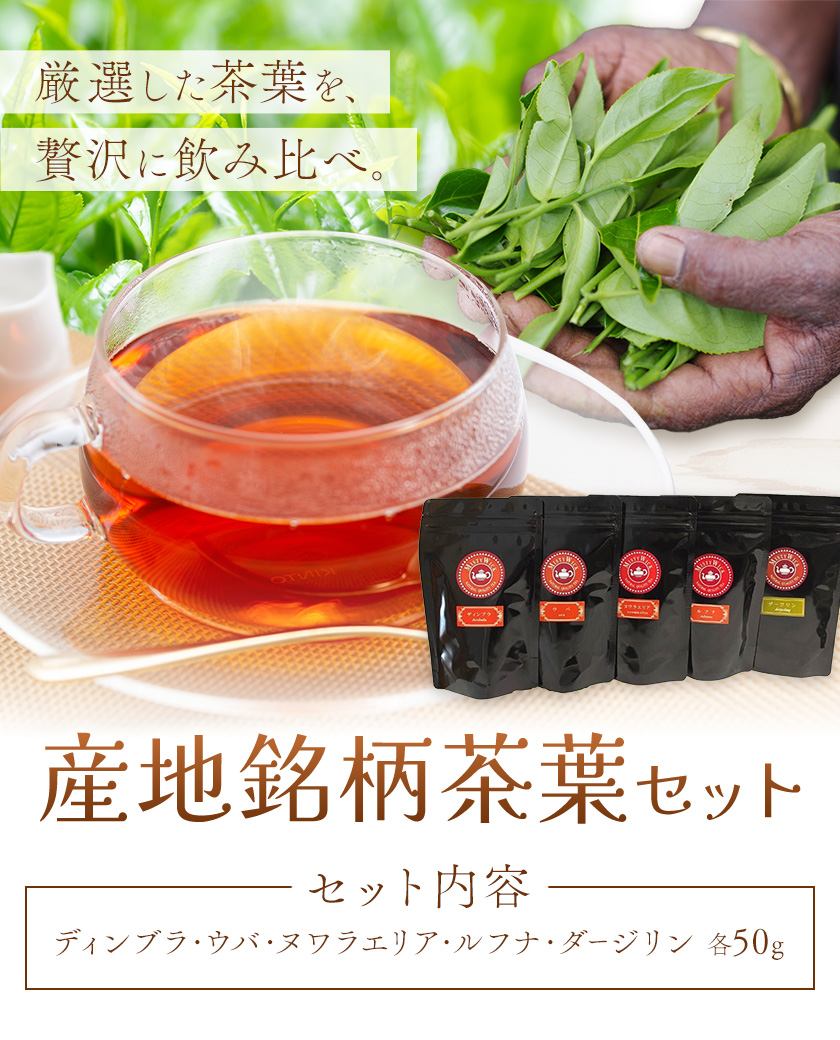 産地銘柄茶葉セット ディンブラ ウバ ヌワラエリア ルフナ ダージリン 各50g セイロン紅茶専門店 MISTYWICK有限会社《30日以内に出荷予定(土日祝除く)》千葉県 我孫子市 紅茶 茶葉 厳選 ギフト 贈り物