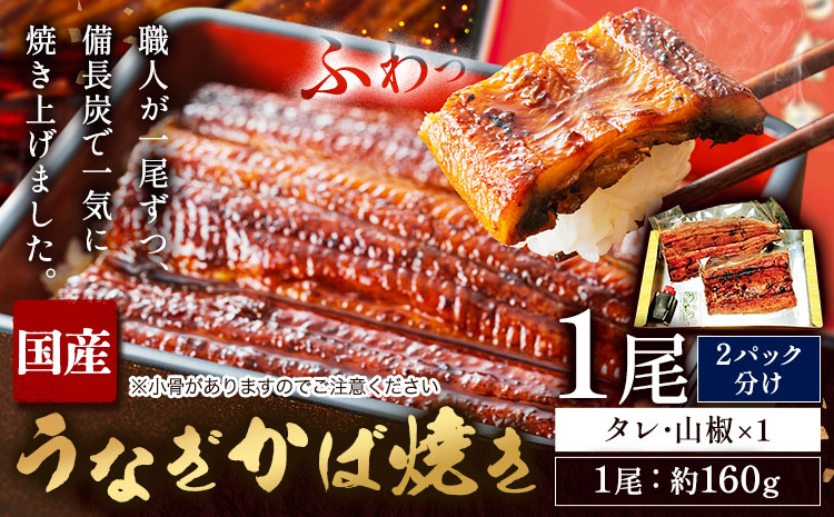 【2パック分け】鰻 国産 うなぎ かば焼き 1尾 小分け 約 160g うな藤《30日以内に出荷予定(土日祝除く)》千葉県 我孫子市  丑の日 炭火 鰻 ウナギ ギフト 真空パック タレ 山椒 冷凍 贈り物 プレゼント お祝い お取り寄せ ギフト