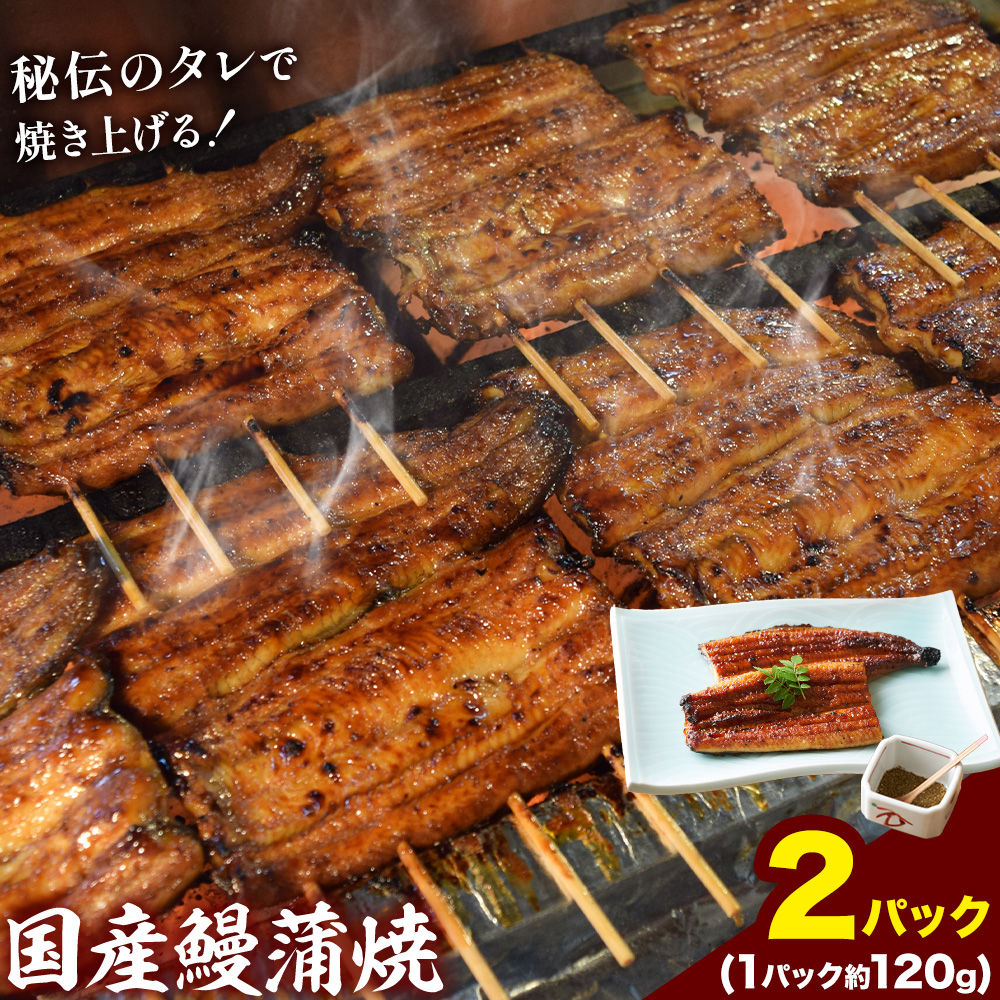鰻 国産鰻蒲焼 2パック 約 120g ×2 有限会社安井家《30日以内に出荷予定(土日祝除く)》千葉県 我孫子市  鰻 うなぎ 蒲焼 丑の日 蒲焼き 冷蔵 タレ 山椒【配送不可地域あり】(離島)