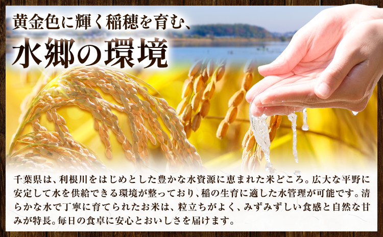 農家応援企画 千葉県産 千葉めぐみ米 10kg《1-5日以内に出荷予定(土日祝除く)》千葉県我孫子市 送料無料 最短翌日発送 米 こめ お米 ごはん 国産 5キロ × 2袋 10キロ
