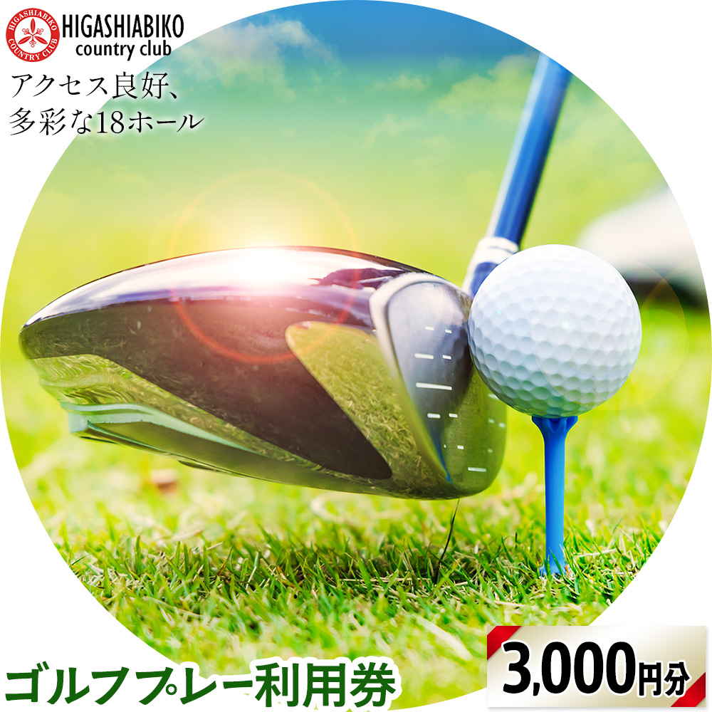 ゴルフ プレー 利用券 3000円分 株式会社東我孫子カントリークラブ《30日以内に出荷予定(土日祝を除く)》千葉県 我孫子市 送料無料 ゴルフチケット ゴルフプレー チケット 東我孫子カントリークラブ