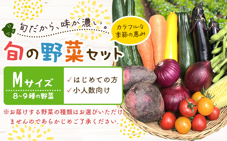 野菜 旬の野菜セット Mサイズ 約8〜9種 [30日以内に出荷予定(土日祝除く)] ベジLIFE!! 季節の野菜 料理 甘い 採れたて トマト 新玉ねぎ じゃがいも キャベツ 白菜 ベジライフ 千葉県 我孫子市[配送不可地域あり](沖縄・離島)