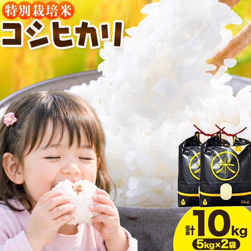 令和7年産 特別栽培米 白米 コシヒカリ 10kg(5kg×2) 米の半左エ門《30日以内に出荷予定(土日祝除く)》千葉県 我孫子市 こしひかり 精米 米 白米 ごはん お米 ライス ブランド米 ご飯 和食 お弁当 おにぎり 国産 コメ おかず