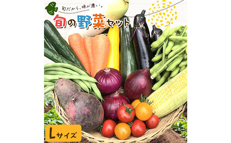 野菜 旬の野菜セット Lサイズ 約10〜11種 [30日以内に出荷予定(土日祝除く)] ベジLIFE!!季節の野菜 料理 甘い 採れたて トマト 新玉ねぎ じゃがいも キャベツ 白菜 ベジライフ 千葉県 我孫子市 [配送不可地域あり](沖縄・離島)