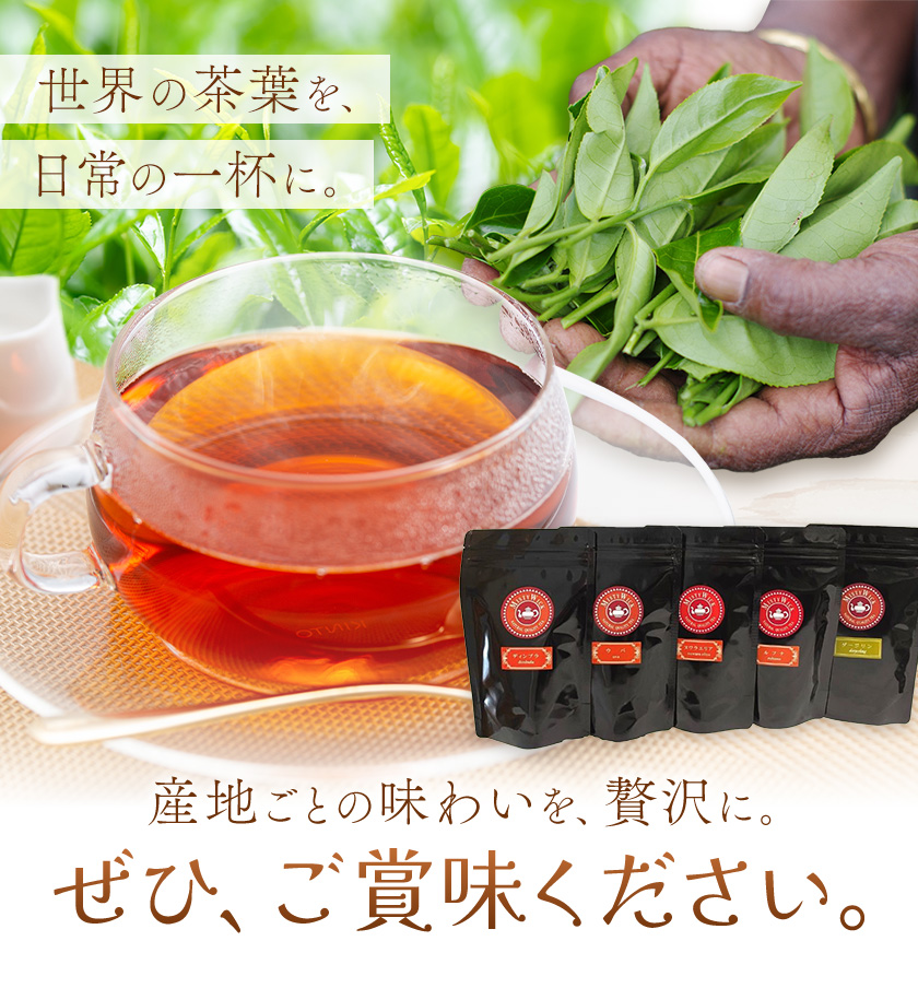 産地銘柄茶葉セット ディンブラ ウバ ヌワラエリア ルフナ ダージリン 各50g セイロン紅茶専門店 MISTYWICK有限会社《30日以内に出荷予定(土日祝除く)》千葉県 我孫子市 紅茶 茶葉 厳選 ギフト 贈り物