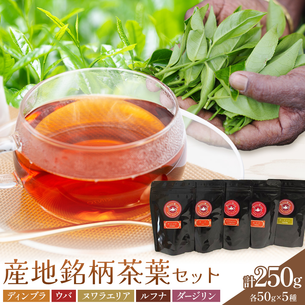 産地銘柄茶葉セット ディンブラ ウバ ヌワラエリア ルフナ ダージリン 各50g セイロン紅茶専門店 MISTYWICK有限会社《30日以内に出荷予定(土日祝除く)》千葉県 我孫子市 紅茶 茶葉 厳選 ギフト 贈り物