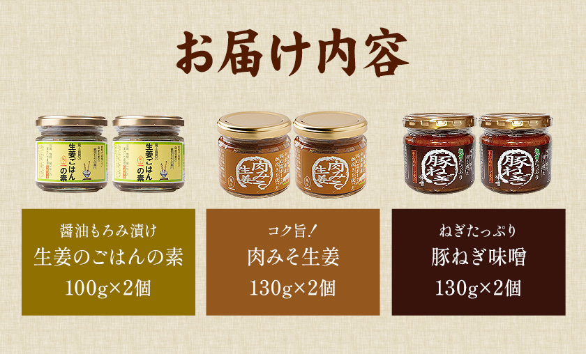 ご飯のお供 3種 セット 生姜ごはんの素 100g × 2 肉みそ生姜 130g × 2 豚ねぎ味噌 130g × 2 株式会社風土食房《30日以内に出荷予定(土日祝除く)》千葉県 我孫子市 国産 ショウガ 肉みそ 味噌 ピリ辛 コク旨 にんにく ネギ味噌 ごはん おにぎり おかず