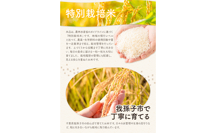 令和7年産 特別栽培米 白米 コシヒカリ 10kg(5kg×2) 米の半左エ門《30日以内に出荷予定(土日祝除く)》千葉県 我孫子市 こしひかり 精米 米 白米 ごはん お米 ライス ブランド米 ご飯 和食 お弁当 おにぎり 国産 コメ おかず