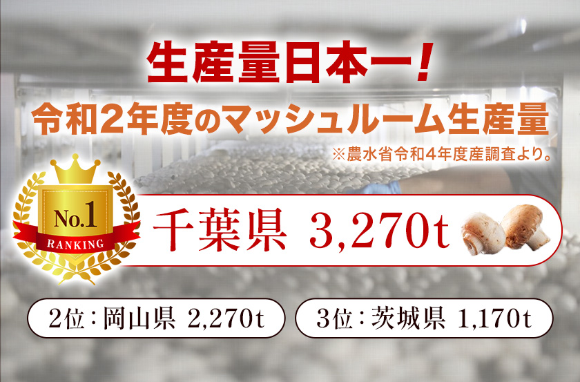 ããã·ã¥ã«ãŒã ã€ããã³ 110g à 5å æ ªåŒäŒç€Ÿé¢šå飿¿ã30æ¥ä»¥å
ã«åºè·äºå®(忥ç¥é€ã)ãåèç æå«ååž ããã·ã¥ã«ãŒã ããã³ ãã®ã ã³ã¯æš æ¿å ããŒã¹ã ãã¹ã¿ ãªã ã¬ã ãœãŒã¹ éæç èæç äžèœèª¿å³æ èª¿å³æéžææš© bayfm78 ã³ã©ãèª¿å³æ