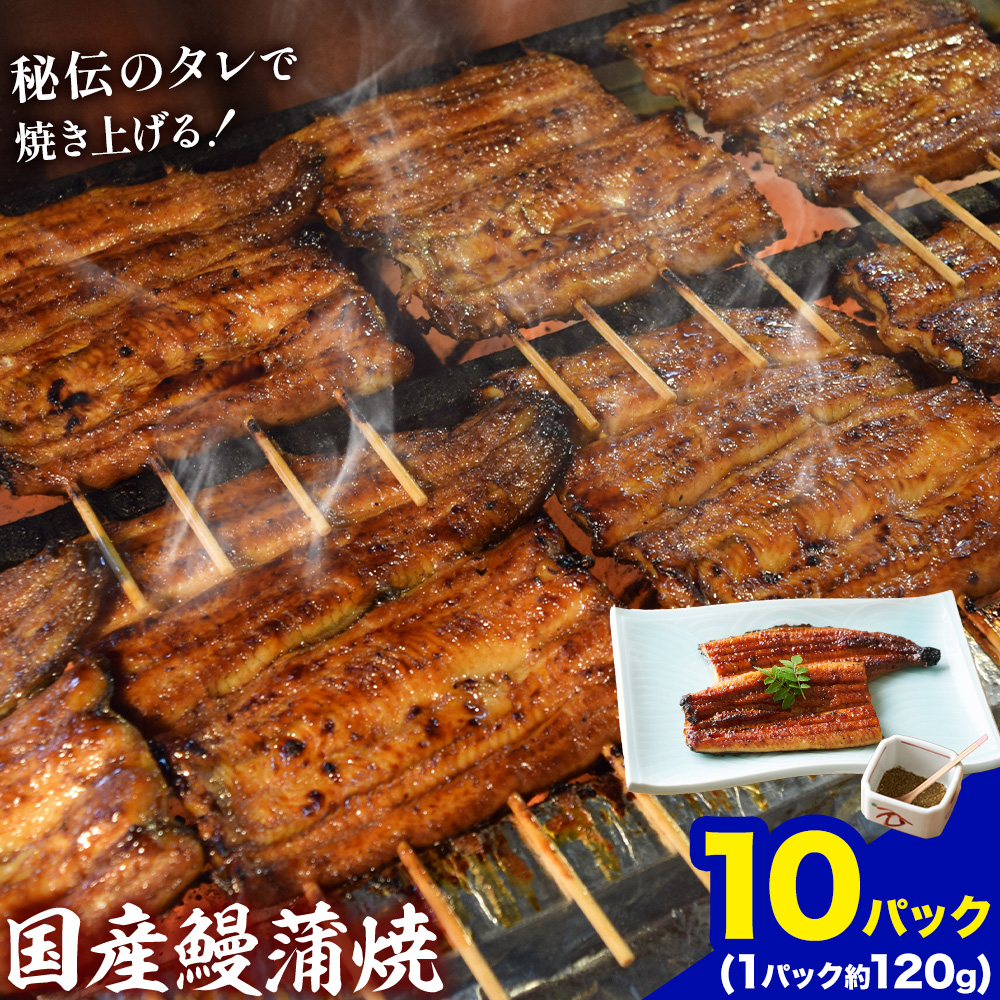 鰻 国産鰻蒲焼 10パック 約 120g ×10 有限会社安井家《30日以内に出荷予定(土日祝除く)》千葉県 我孫子市  鰻 うなぎ 蒲焼 丑の日 蒲焼き 冷蔵 タレ 山椒【配送不可地域あり】(離島)