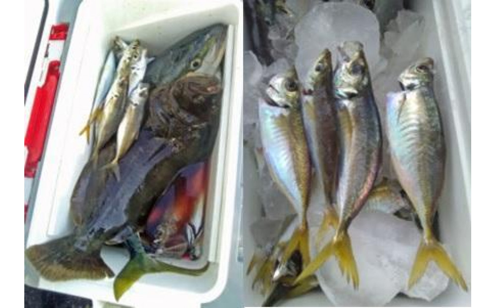 ãå¹³æ¥éå®ãé£ãè¹ä¹è¹åžãä»ç«è¹ã貞å10åæ§ãŸã§