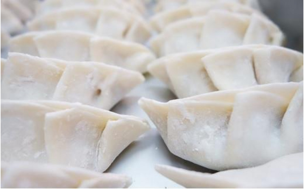 冷凍生餃子96個と特製タレのセット