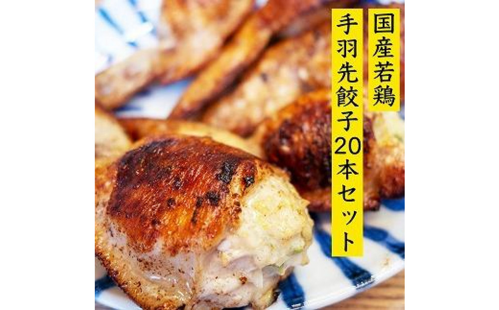 餃子専門店が作った手羽先餃子20本入り