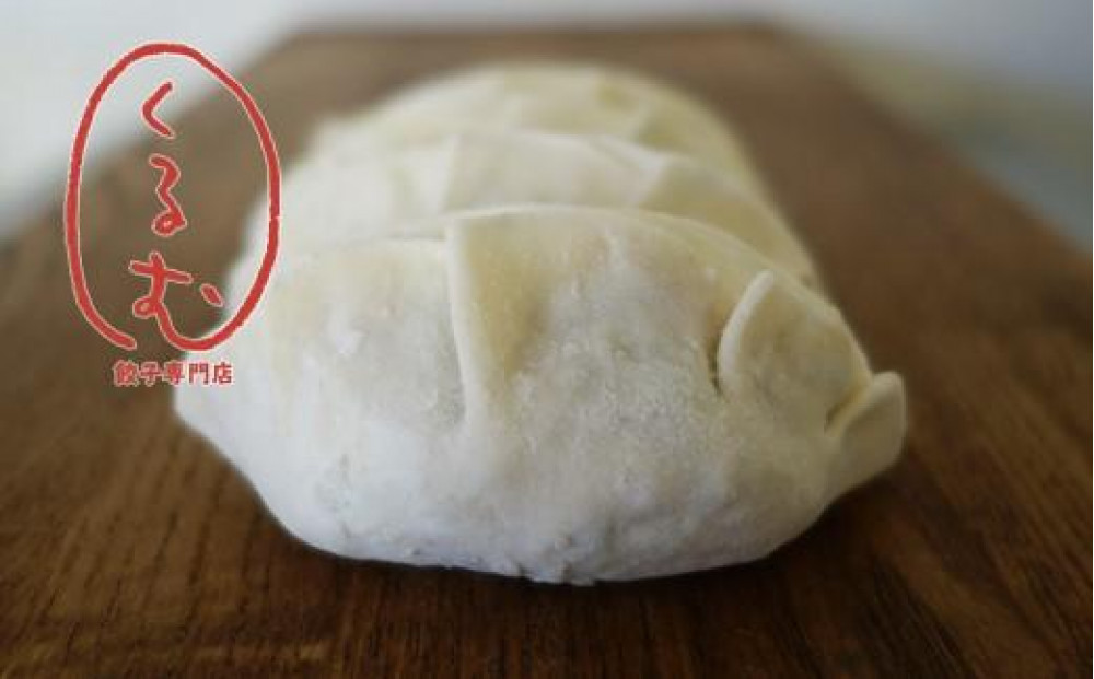 冷凍生餃子96個と特製タレのセット