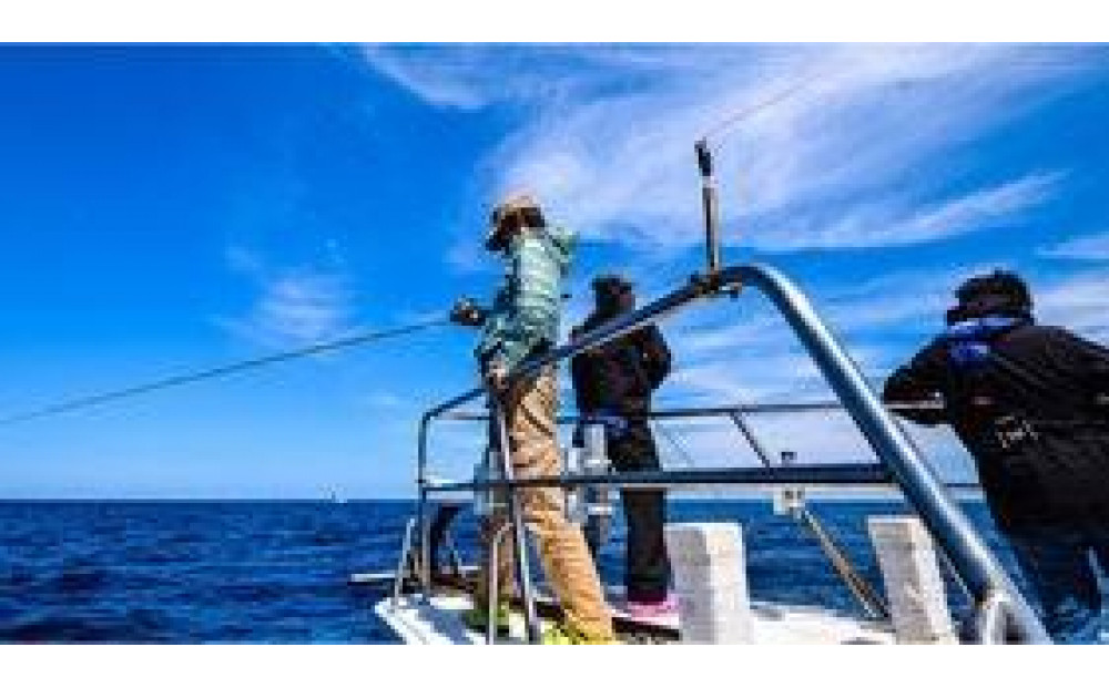 「釣り船」乗船1名様分