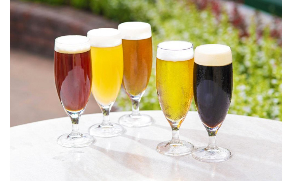 ハーヴェスト・ムーン　１２本セット