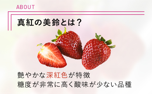 【2025年2月から順次発送】 魅惑の黒いちご「真紅の美鈴」2箱 ふるさと納税 いちごイチゴ 苺 真紅の美鈴 黒いちご 黒イチゴ しんくのみすず 甘い 完熟 魅惑 赤 深紅 ワイン色 朝収穫 新鮮 美味しい 贈答 ギフト お取り寄せ 千葉県 富里市 TME002