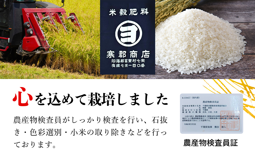 【令和6年産】千葉県富里市産 こしひかり 精米15kg（5kg×3） / コシヒカリ お米  米 こめ こしひかり 15kg うるち米 送料無料 数量限定 ちば 千葉県産とみさと 富里 富里市 TTMAA003