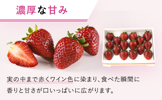 【2025年2月から順次発送】 魅惑の黒いちご「真紅の美鈴」2箱 ふるさと納税 いちごイチゴ 苺 真紅の美鈴 黒いちご 黒イチゴ しんくのみすず 甘い 完熟 魅惑 赤 深紅 ワイン色 朝収穫 新鮮 美味しい 贈答 ギフト お取り寄せ 千葉県 富里市 TME002