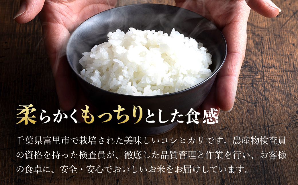 【令和6年産】千葉県富里市産 こしひかり 精米25kg（5kg×5） / コシヒカリ お米  米 こめ こしひかり 25kg うるち米 送料無料 数量限定 ちば 千葉県産とみさと 富里 富里市 TTMAA005