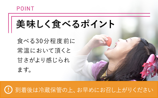 【2025年2月から順次発送】 魅惑の黒いちご「真紅の美鈴」2箱 ふるさと納税 いちごイチゴ 苺 真紅の美鈴 黒いちご 黒イチゴ しんくのみすず 甘い 完熟 魅惑 赤 深紅 ワイン色 朝収穫 新鮮 美味しい 贈答 ギフト お取り寄せ 千葉県 富里市 TME002